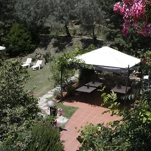 Casa Virgilio Couette-café