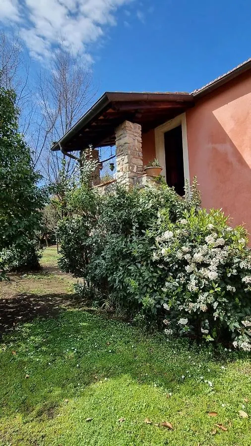 Rose Cottage Tuscany Fosdinovo Holiday home